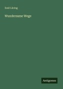 Cover-Bild zum Titel 'Wundersame Wege' von 'Emil Lüring'