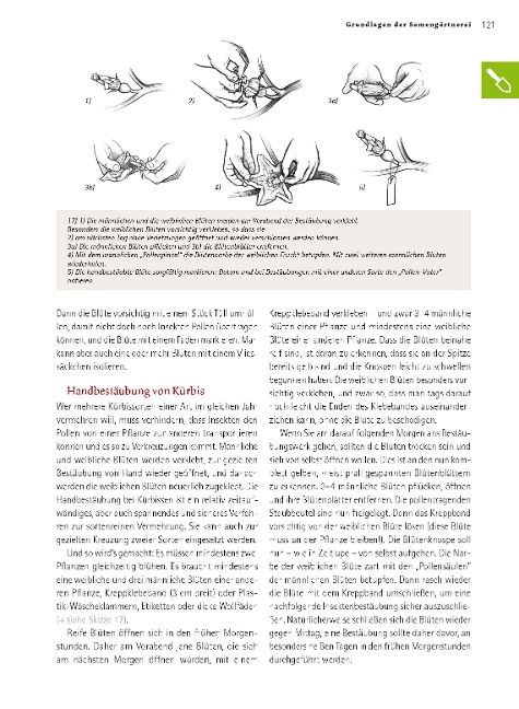 InsideView 5