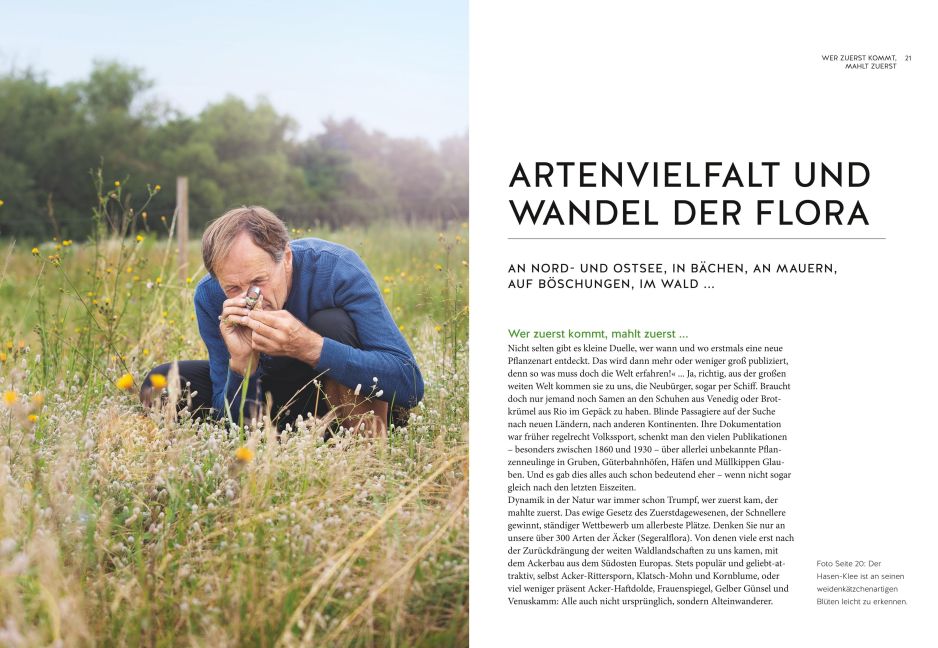 InsideView 6