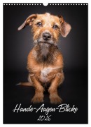 Hunde-Augen-Blicke (Wandkalender 2026 DIN A3 hoch), CALVENDO Monatskalender - Silke Gareis