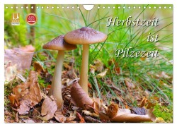 Cover-Bild zum Titel 'Herbstzeit ist Pilzezeit (Wandkalender 2027 DIN A4 quer), CALVENDO Monatskalender' von 'Lianem'