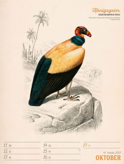 InsideView 45