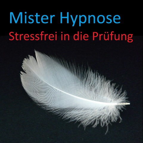 Stressfrei in die Prüfung - 