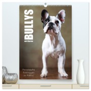 Cover-Bild zum Titel 'Bullys mit Charme - Französische Bulldoggen im Portrait (hochwertiger Premium Wandkalender 2026 DIN A2 hoch), Kunstdruck in Hochglanz' von 'Jana Behr'