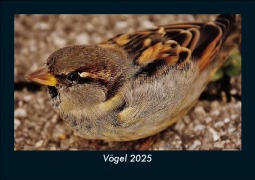 Cover-Bild zum Titel 'Vögel 2025 Fotokalender DIN A5' von 'Tobias Becker'