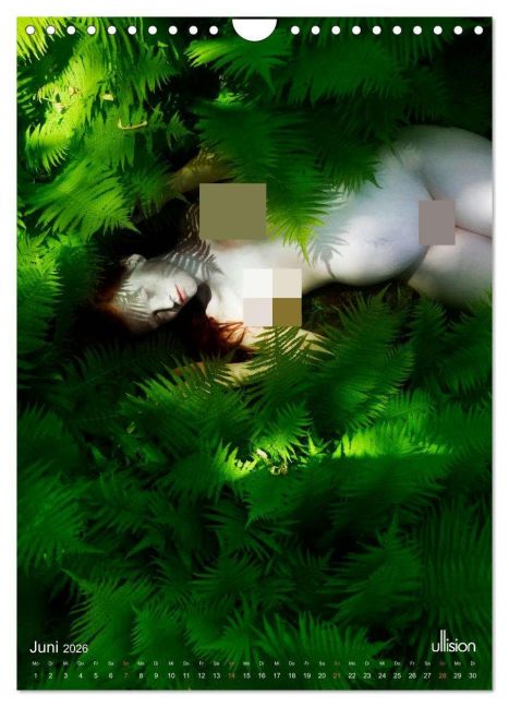 InsideView 11
