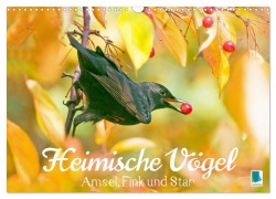 Cover-Bild zum Titel 'Amsel, Fink und Star: Heimische Vögel (Wandkalender 2026 DIN A3 quer), CALVENDO Monatskalender' von 'Calvendo Calvendo'