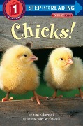 Chicks! - Sandra Horning
