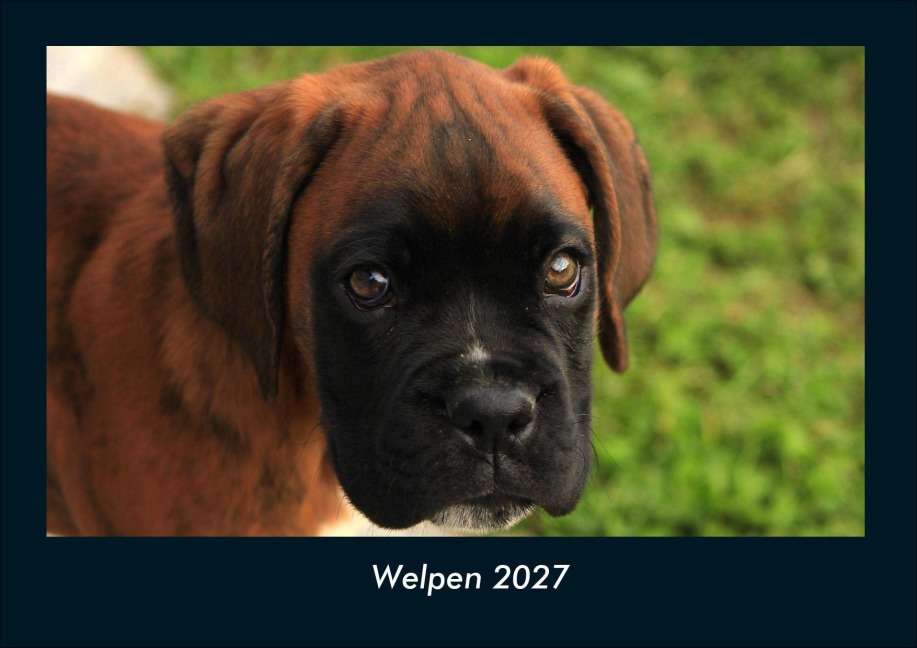 Welpen 2027 Fotokalender DIN A4 - Tobias Schmitt, Kevin Heber