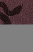 Cover-Bild zum Titel 'La Biblia / Biblia - El primer libro de Moisés (Génesis) / Pierwsza Księga Mojżesza (Księga Rodzaju)' von 'Kjv'