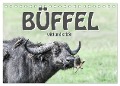 Büffel - wild und schön (Tischkalender 2024 DIN A5 quer), CALVENDO Monatskalender - Robert Styppa