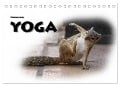 Tierisches Yoga (Tischkalender 2024 DIN A5 quer), CALVENDO Monatskalender - Robert Styppa