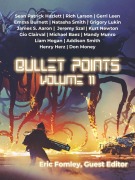 Cover-Bild zum Titel 'Bullet Points 11' von 'Nathan Toronto'