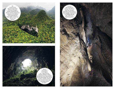 InsideView 10