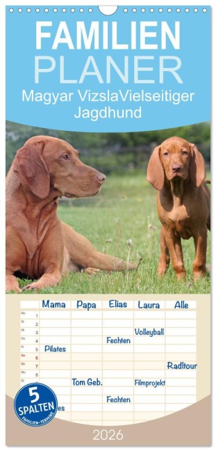 Familienplaner 2026 - Magyar Vizsla - Vielseitiger Jagdhund mit 5 Spalten (Wandkalender, 21 x 45 cm) CALVENDO - Barbara Mielewczyk