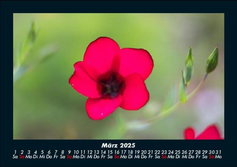 InsideView 7