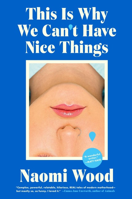 This Is Why We Can't Have Nice Things - Naomi Wood