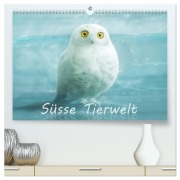 Cover-Bild zum Titel 'Süsse Tierwelt / CH-Version / Geburtstagskalender (hochwertiger Premium Wandkalender 2026 DIN A2 quer), Kunstdruck in Hochglanz' von 'Silvio Schoisswohl'