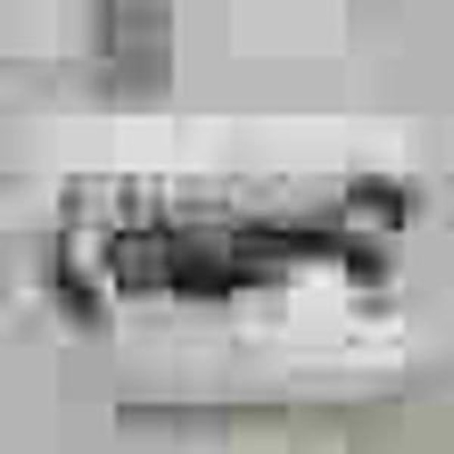 Tripping Up The Stairs - Spirit Of The West