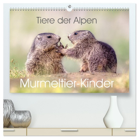 Tiere der Alpen - Murmeltier-Kinder (hochwertiger Premium Wandkalender 2025 DIN A2 quer), Kunstdruck in Hochglanz - Judith Kuhn