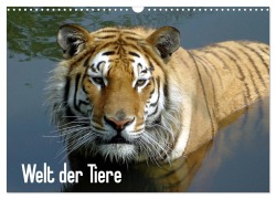 Welt der Tiere (Wandkalender 2026 DIN A3 quer), CALVENDO Monatskalender - Tanja Riedel