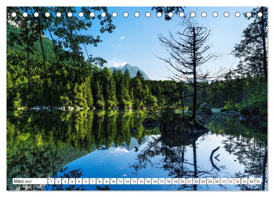 InsideView 8