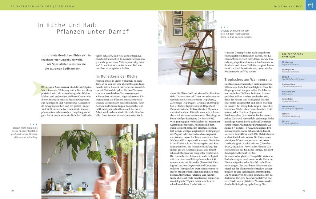 InsideView 2