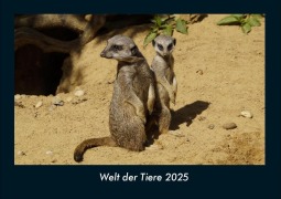Cover-Bild zum Titel 'Welt der Tiere 2025 Fotokalender DIN A4' von 'Tobias Becker'