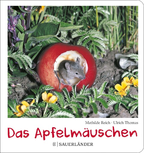 Das Apfelmäuschen (Pappbilderbuch) - Mathilde Reich