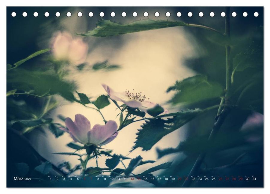 InsideView 8