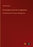 Cover-Bild zum Titel 'Gli ostrogoti in San Vito al Tagliamento' von 'Antonio Cicuto'