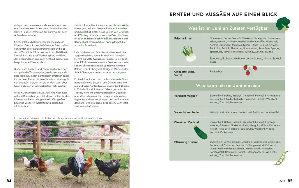 InsideView 6