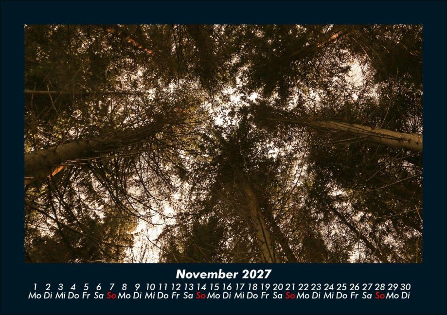 InsideView 3
