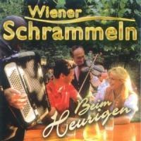 Wiener Schrammeln Beim Heurige - Various