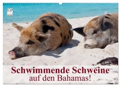 Cover-Bild zum Titel 'Schwimmende Schweine auf den Bahamas! (Wandkalender 2026 DIN A2 quer), CALVENDO Monatskalender' von 'Elisabeth Stanzer'