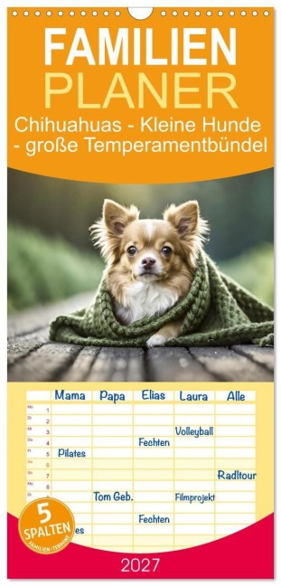 Familienplaner 2027 - Chihuahuas - Kleine Hunde - große Temperamentbündel mit 5 Spalten (Wandkalender, 21 x 45 cm) CALVENDO - Fotodesign Verena Scholze