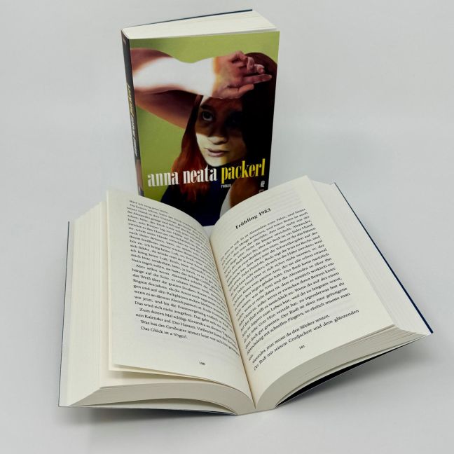 InsideView 5
