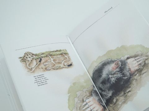 InsideView 5