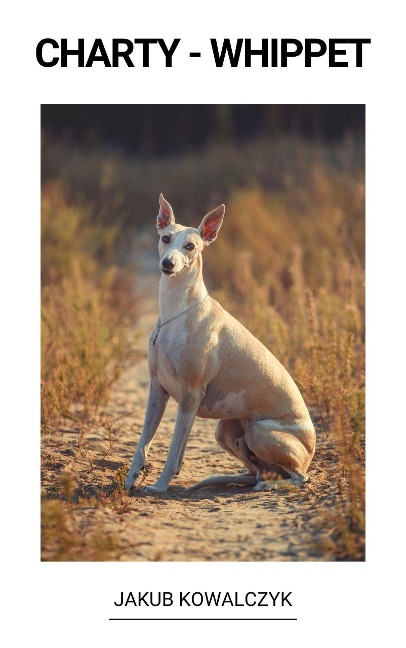 Whippet - Jakub Kowalczyk