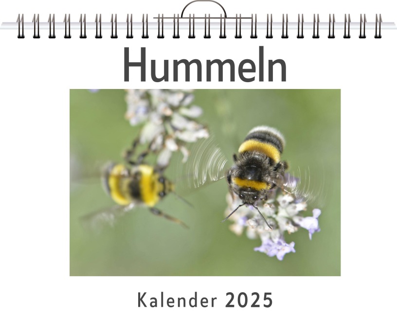 Hummeln - (Wandkalender 2025, Kalender DIN A4 quer, Monatskalender im Querformat mit Kalendarium, das perfekte Geschenk) - Amelia Keller