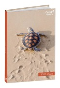 Schülerkalender FORUM Tiere Schildk 2025/2026 - 