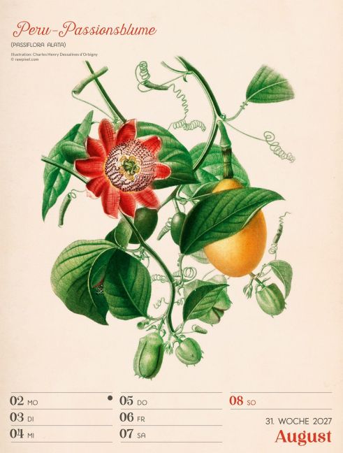 InsideView 35