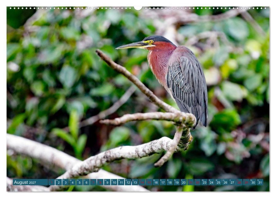 InsideView 13