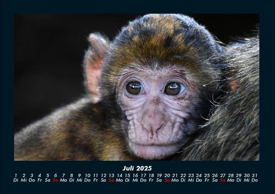 InsideView 11