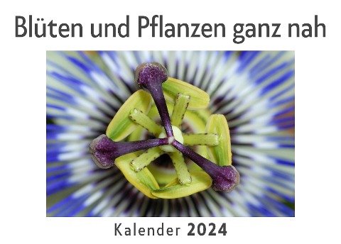 Blüten und Pflanzen ganz nah (Wandkalender 2024, Kalender DIN A4 quer, Monatskalender im Querformat mit Kalendarium, Das perfekte Geschenk) - Anna Müller