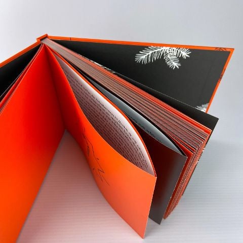 InsideView 8