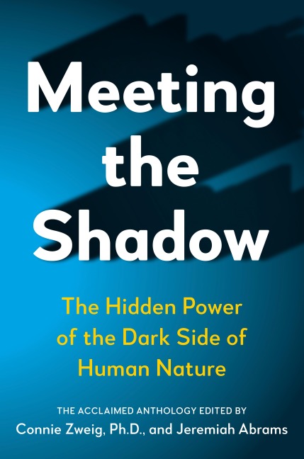 Meeting the Shadow - 