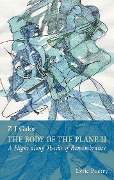 Cover-Bild zum Titel 'The body of the plane II' von 'Z J Galos'