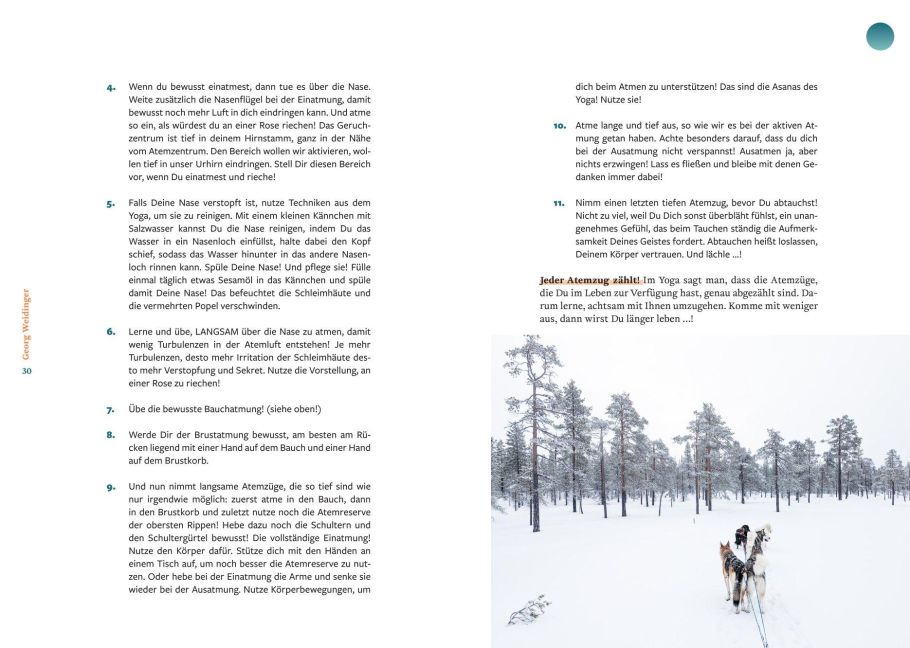 InsideView 8