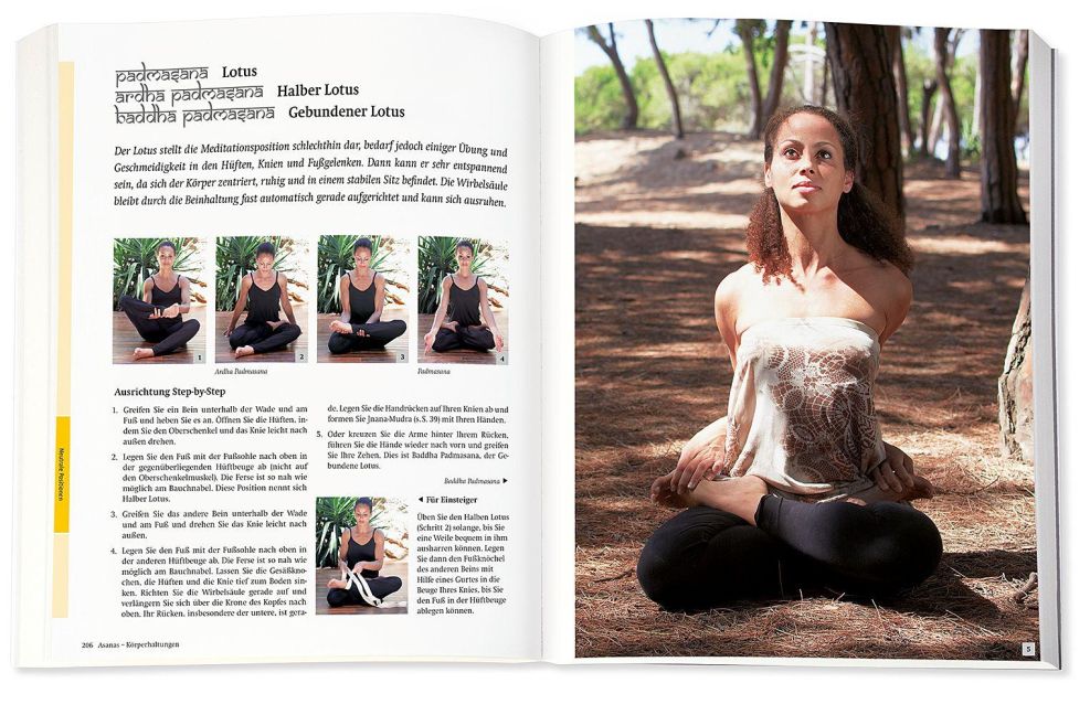 InsideView 11